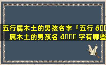 五行属木土的男孩名字「五行 🌼 属木土的男孩名 🐈 字有哪些」